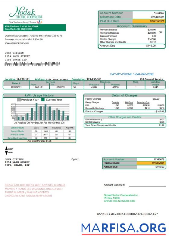 Realistic USA North Dakota Nodak Electric Cooperative utility bill template in Word and PDF format